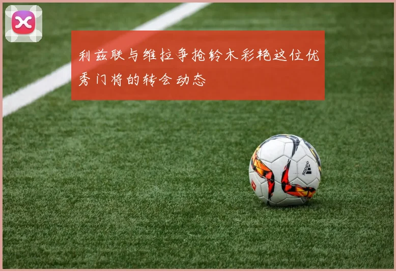 利兹联与维拉争抢铃木彩艳这位优秀门将的转会动态